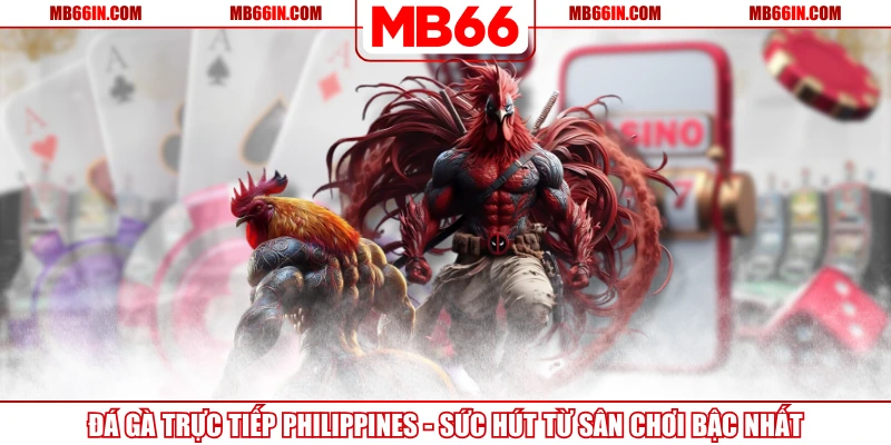 Đá Gà Trực Tiếp Philippines – Sức Hút Từ Sân Chơi Bậc Nhất