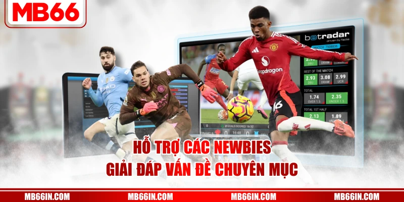 Hỗ trợ các newbies giải đáp vấn đề chuyên mục