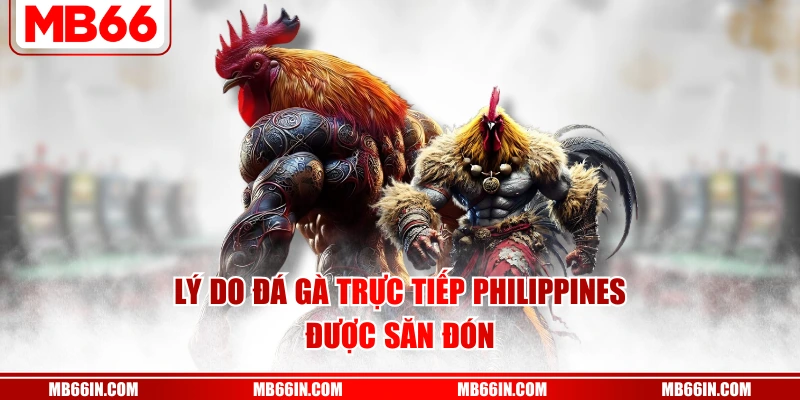 Lý do đá gà trực tiếp Philippines được săn đón
