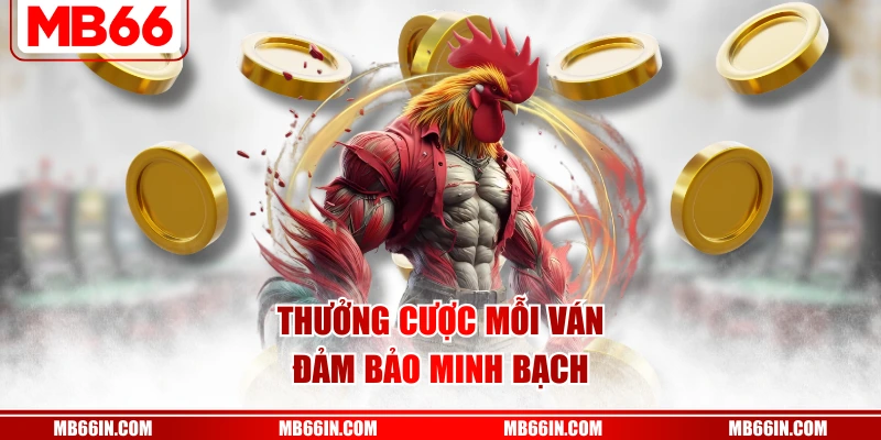 Thưởng cược mỗi ván đảm bảo minh bạch
