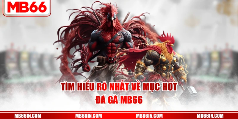 Tìm hiểu rõ nhất về mục hot đá gà MB66