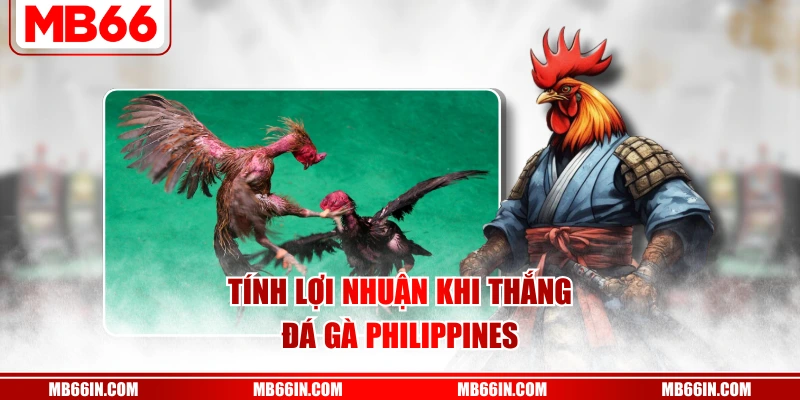 Tính lợi nhuận khi thắng đá gà Philippines