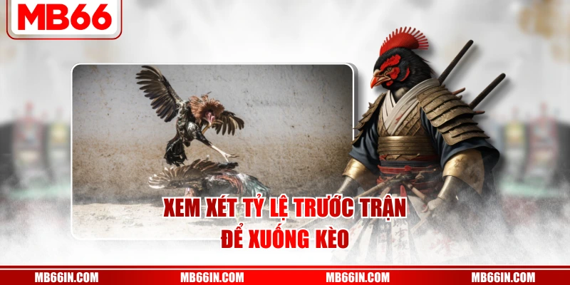 Xem xét tỷ lệ trước trận để xuống kèo